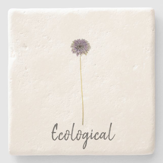 Coaster (Front)