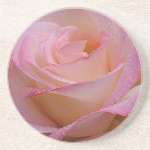 Coaster Beautiful Pink Rose
