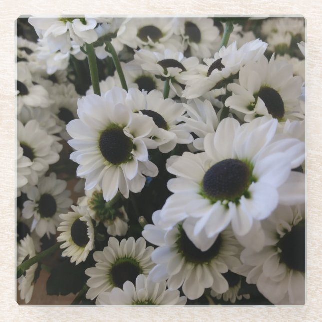 Coaster - Black & White Daisies (Front)