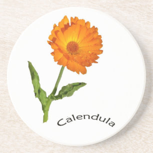 Coaster - Calendula (with title)