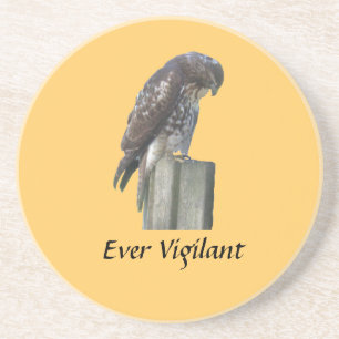 Coaster - Falcon - Ever Vigilant