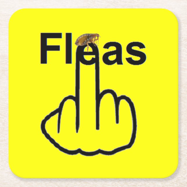 Coaster Fleas Flip (Front)