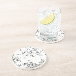 Coaster - Melons for Sale
