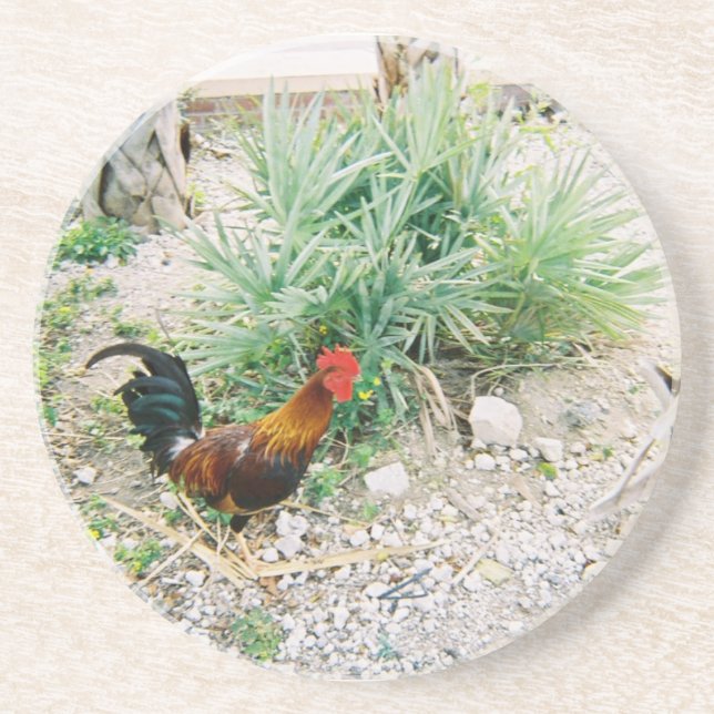 Coaster_Rooster Coaster (Front)