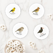 Coaster Set