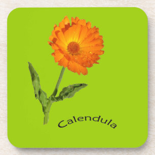 Coaster set - Calendula