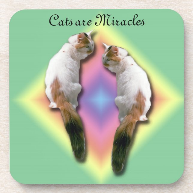 Coaster Set - Cats are Miracles (Front)