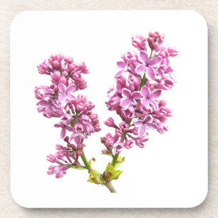Coaster set - Lilac blossoms