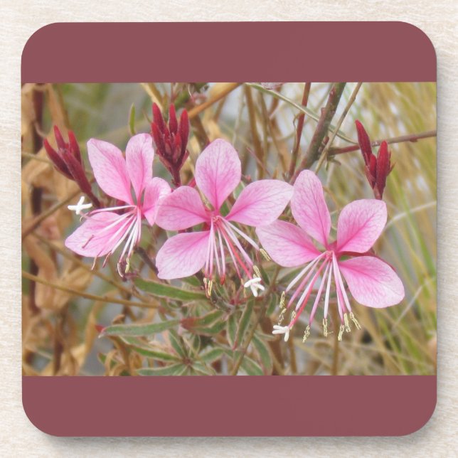 Coaster Set - Pink Guara (Front)