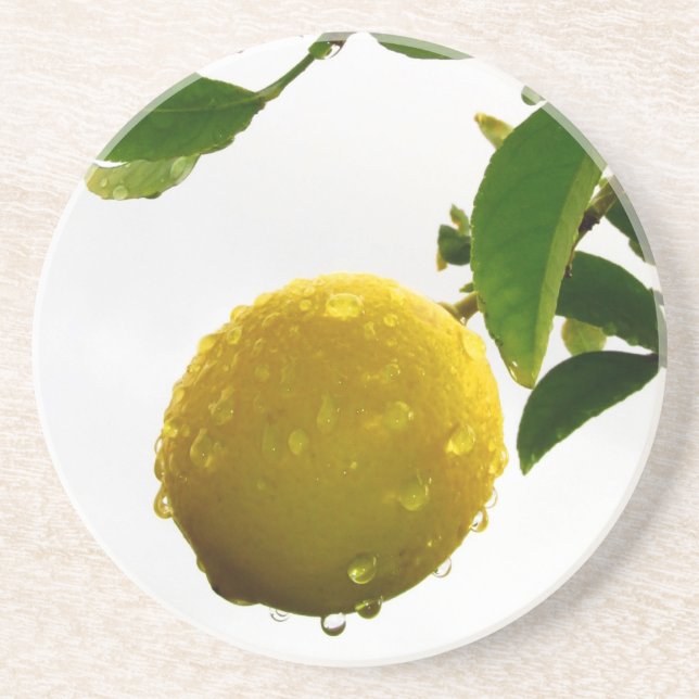 Coaster - Wet lemon (Front)