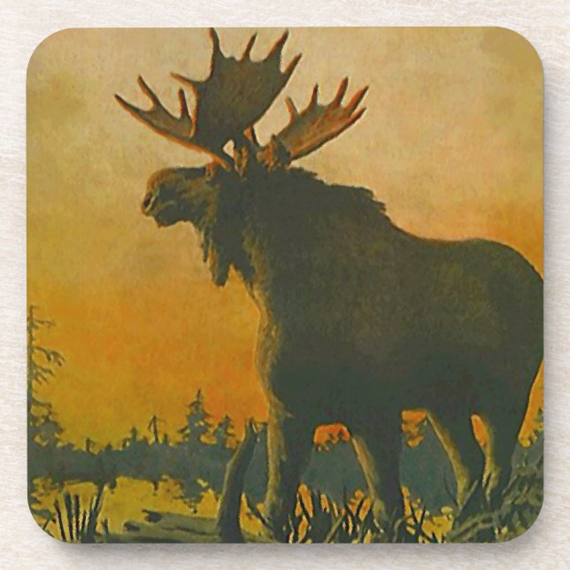 Coaster Wildlife Moose Sunset Swamp Donkey Marsh (Front)