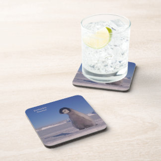 Coasters "Greetings from Antarctica! photo of baby