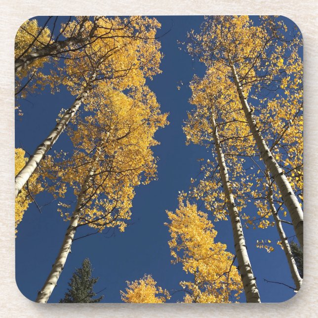 Coasters offering a taste of colourful Colorado  (Front)