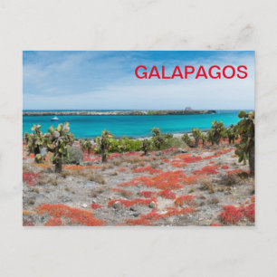 Coastline at Galapagos Postcard