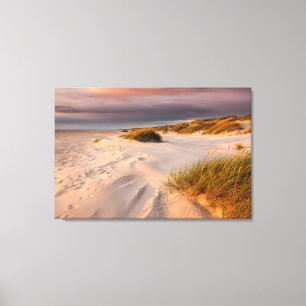 Coastline Saltum Beach, Denmark Canvas Print