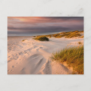 Coastline   Saltum Beach, Denmark Postcard
