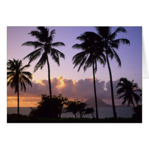 Coastline St. Kitts