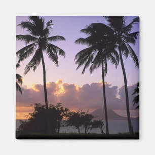 Coastline St. Kitts Magnet