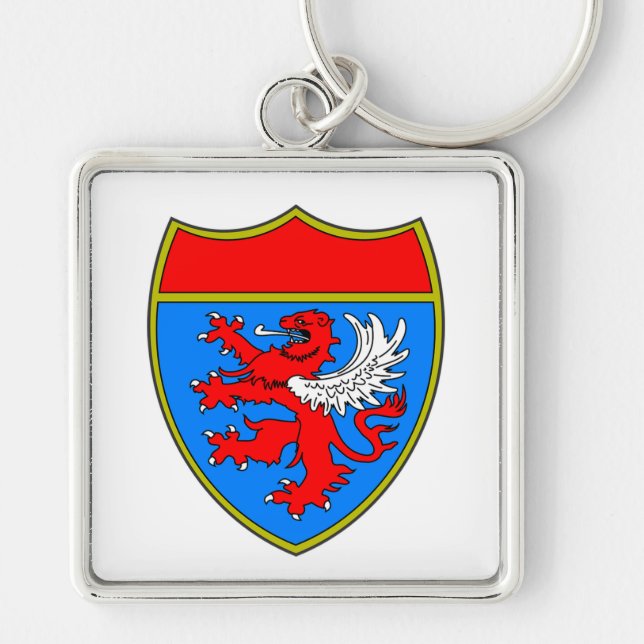 Coat of Arms Lion Shield Key Ring (Front)