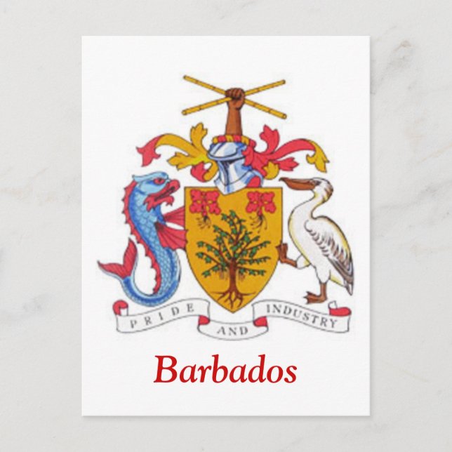 Coat of arms of Barbados Postcard (Front)