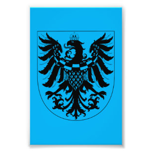 Coat of arms of Carniola Photo Print