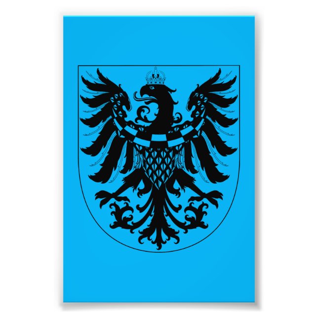 Coat of arms of Carniola Photo Print (Front)