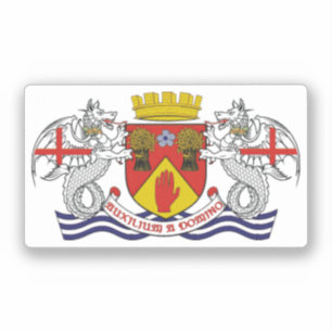 Coat of arms of County Londonderry, N. Ireland