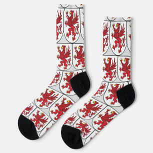 Coat of Arms of Pomerania Majestic Griffin Art Socks