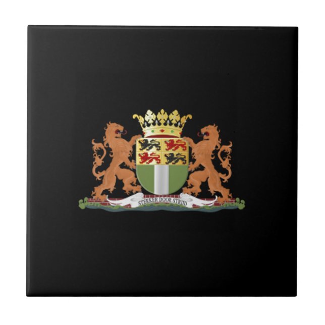 Coat of arms of Rotterdam Tile (Front)