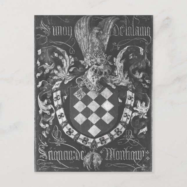 Coat of Arms of Simon de Lalaing Postcard (Front)