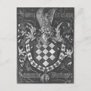 Coat of Arms of Simon de Lalaing Postcard