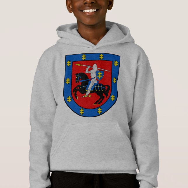 Coat of Arms of Vilnius County (Front)