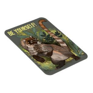 Coatamundi or White Nosed Coati Magnet