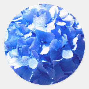 Cobalt blue floral elegant blue hydrangeas  classic round sticker