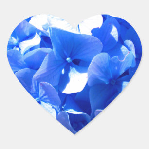 Cobalt blue floral elegant blue hydrangeas  heart sticker