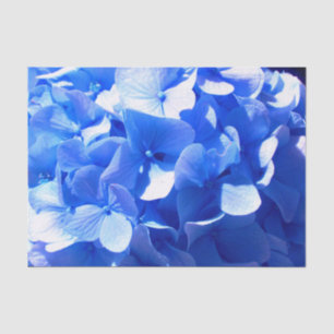 Cobalt blue floral elegant blue hydrangeas tissue paper