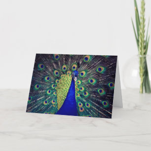 Cobalt Blue Peacock Folded Greeting Card