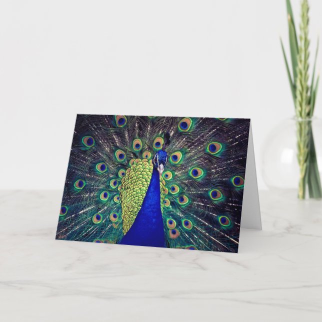 Cobalt Blue Peacock Folded Greeting Card (Front)