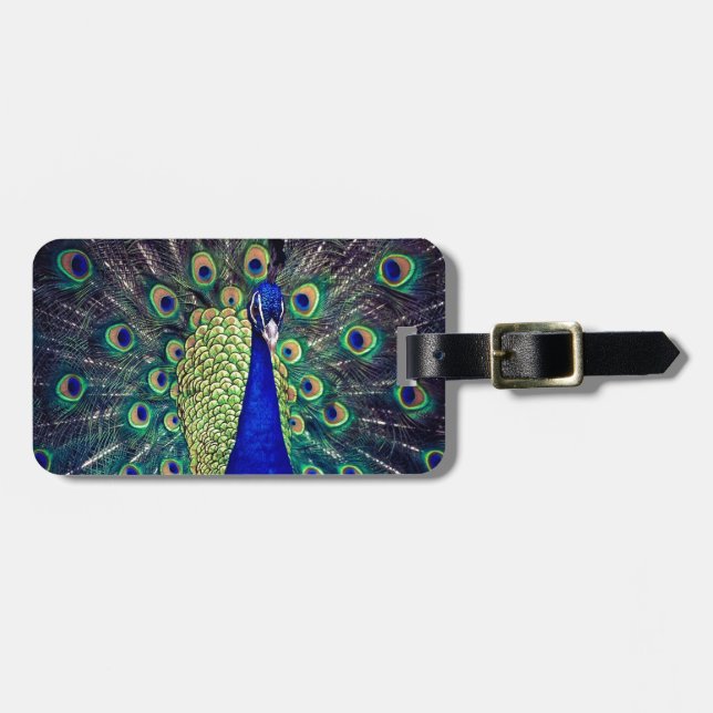 Cobalt Blue Peacock Luggage Tag (Front Horizontal)
