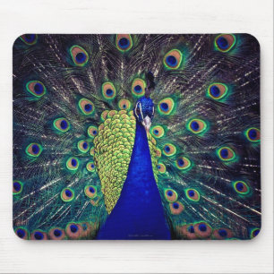 Cobalt Blue Peacock Mouse Mat