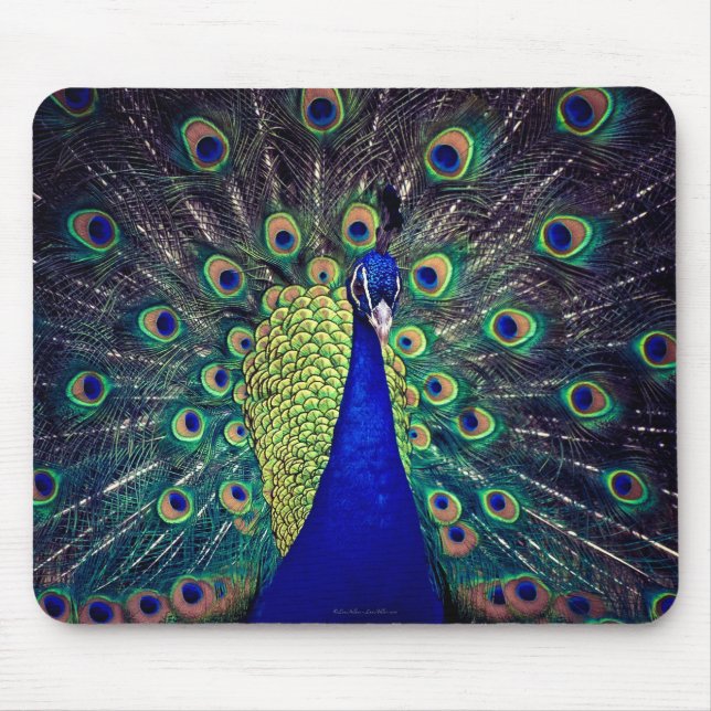 Cobalt Blue Peacock Mouse Mat (Front)