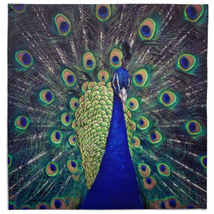 Cobalt Blue Peacock Napkin
