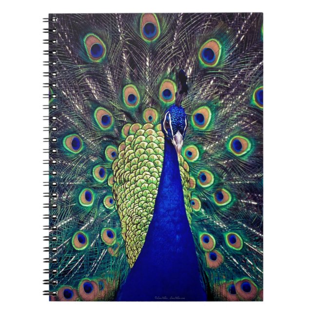 Cobalt Blue Peacock Notebook (Front)