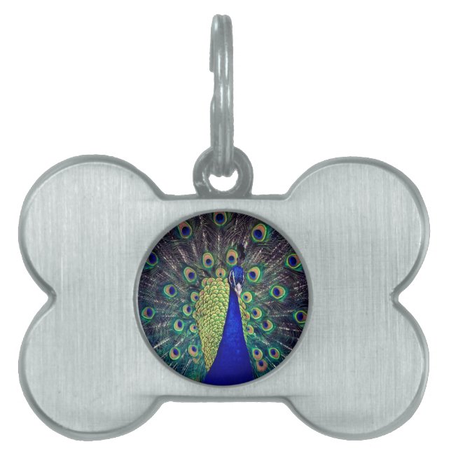 Cobalt Blue Peacock Pet ID Tag (Front)