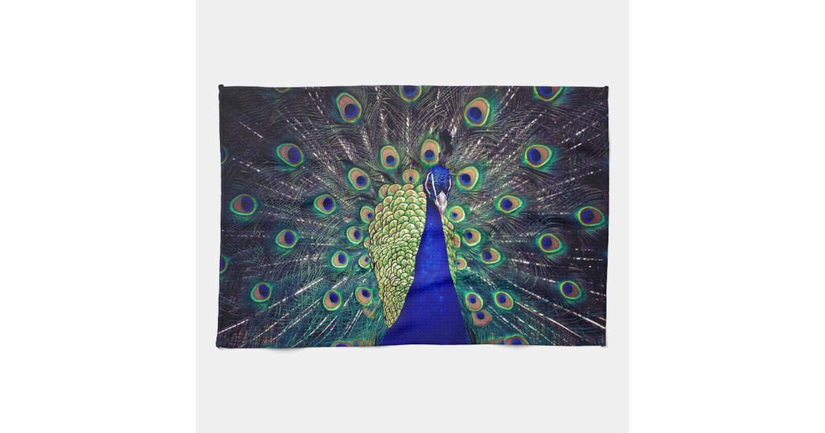 Cobalt Blue Peacock Tea Towel | Zazzle.co.uk