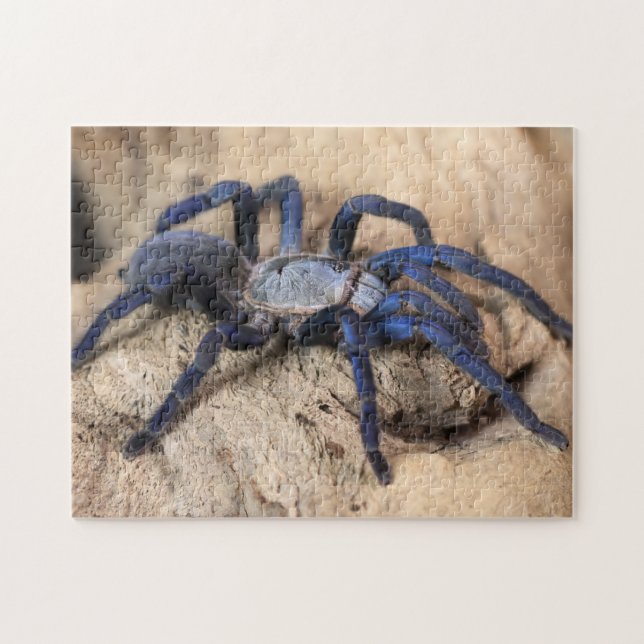 Cobalt Blue Tarantula Spider Jigsaw Puzzle (Horizontal)