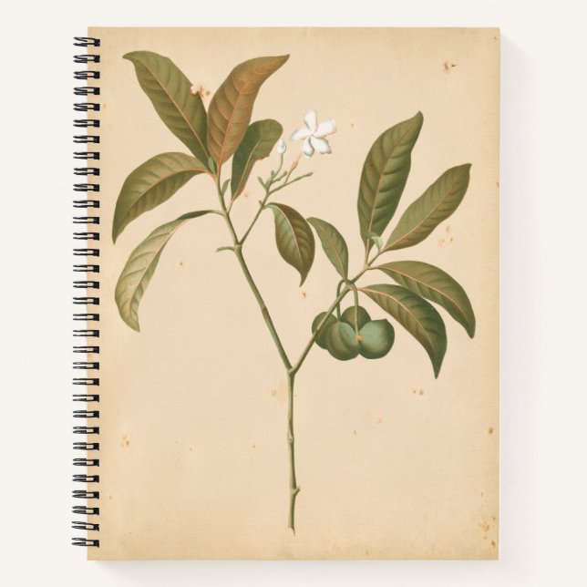 Cobalt Deco Panel I Notebook (Front)