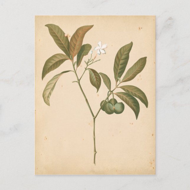 Cobalt Deco Panel I Postcard (Front)