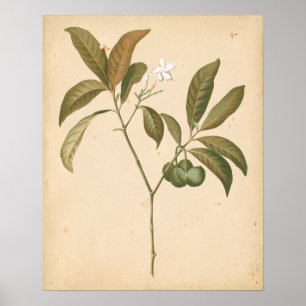 Cobalt Deco Panel I Poster