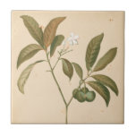 Cobalt Deco Panel I Tile<br><div class="desc">Cobalt Deco Panel I by Chariklia Zarris</div>